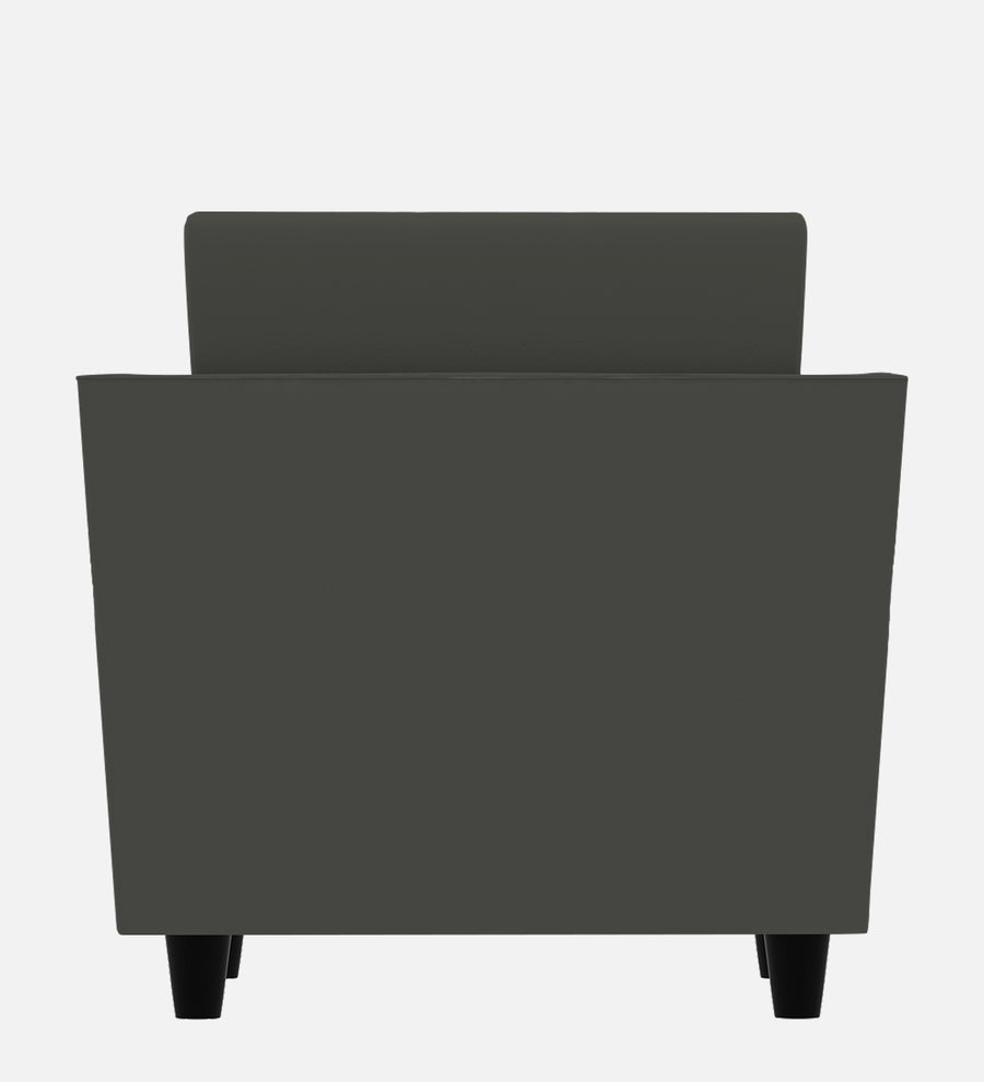 Bristo Velvet 1 Seater Sofa In Hory Grey Colour With Storage - Febonic Living