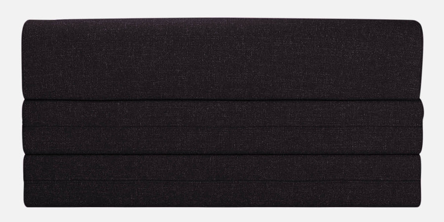 Fleepy Fabric 2 Seater Foldable Sofa Cum Bed In Cara Brown Colour - Febonic Living