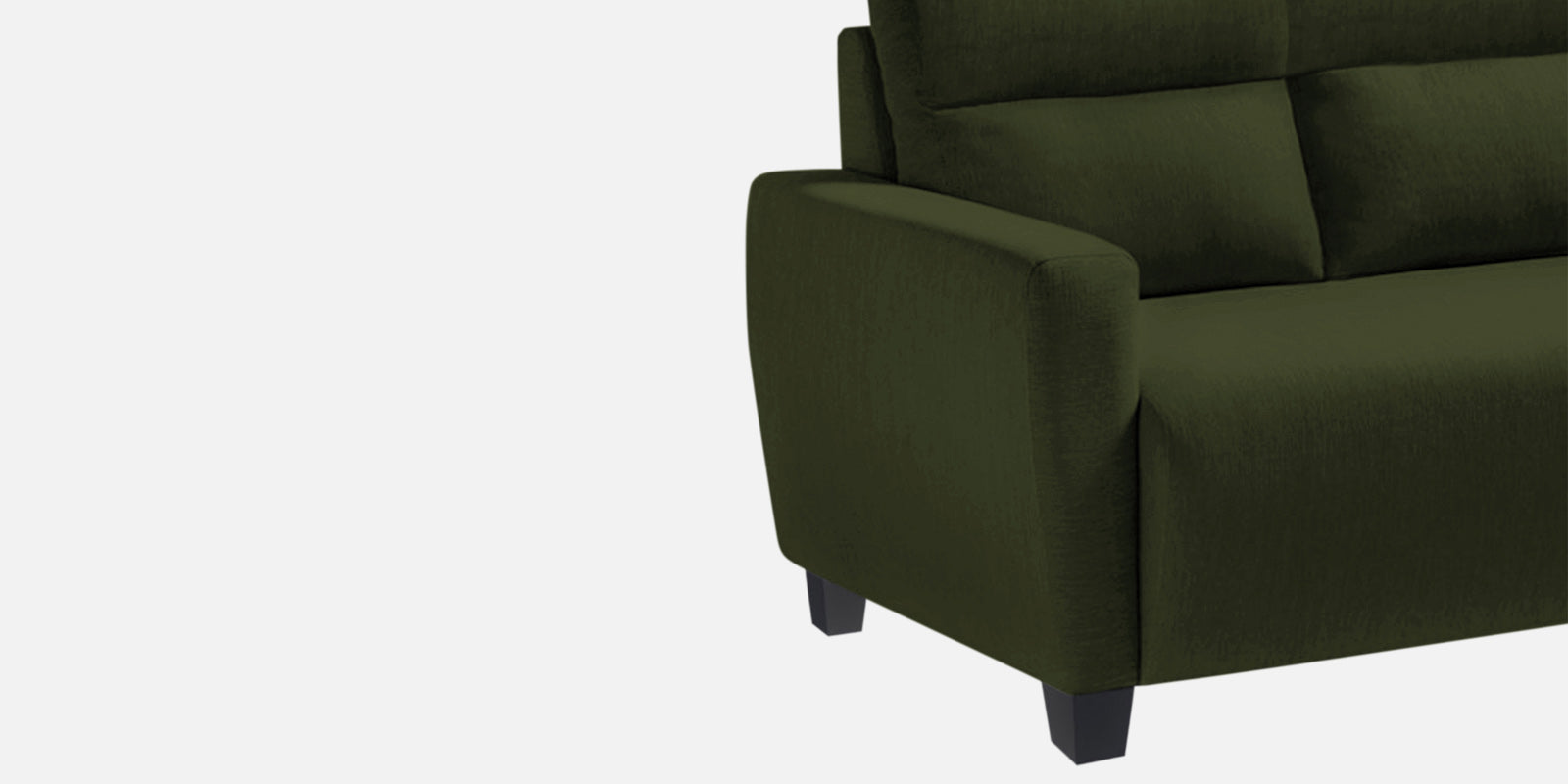 Bakadi Fabric 2 Seater Sofa in Olive Green Colour