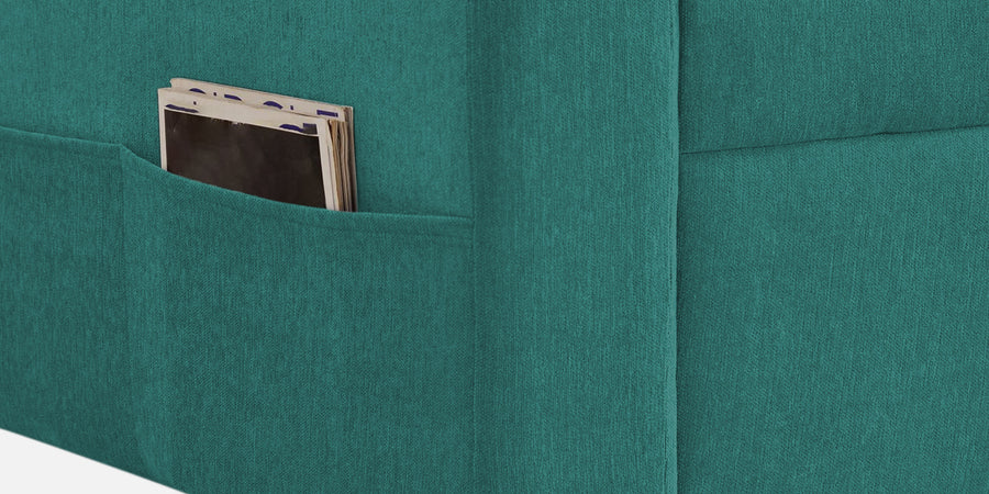 Kara Fabric 2 Seater Pull Out Sofa Cum Bed In Sea Green Colour - Febonic Living