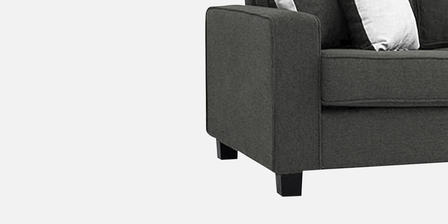 Ladybug Fabric 2 Seater Sofa In Charcoal Grey Colour - Febonic Living
