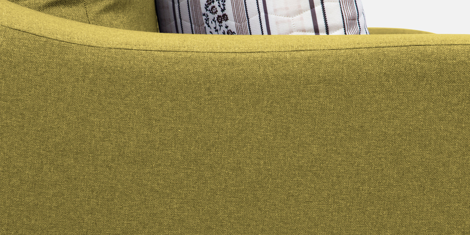 Kevin Fabric 2 Seater Sofa in Parrot Green Colour