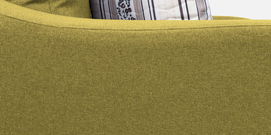 Kevin Fabric 2 Seater Sofa In Parrot Green Colour - Febonic Living