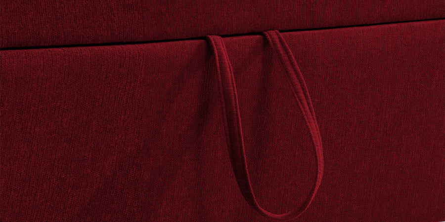 Kara Fabric 2 Seater Pull Out Sofa Cum Bed In Ruby Red Colour - Febonic Living