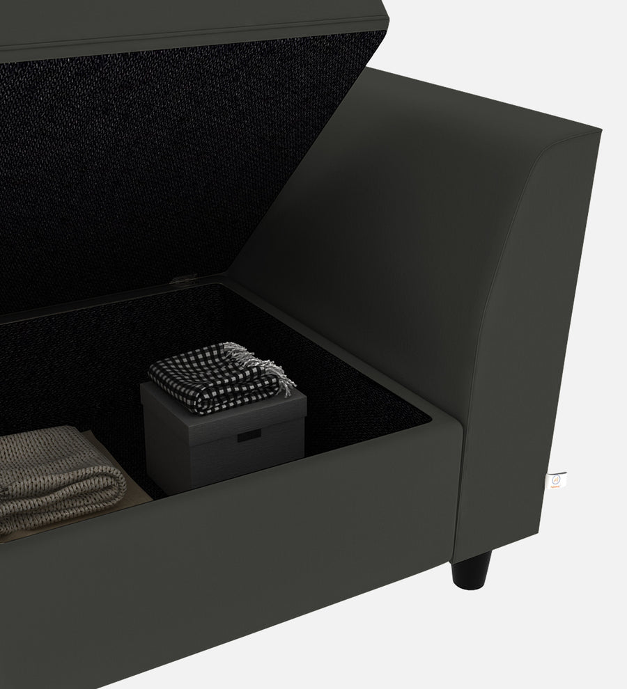 Bristo Velvet 1 Seater Sofa In Hory Grey Colour With Storage - Febonic Living