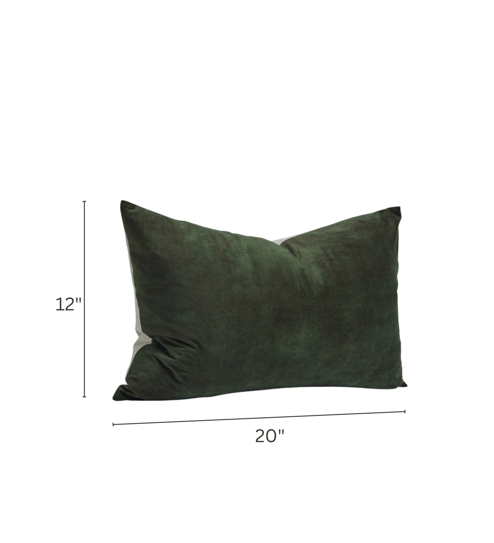 Lexi Velvet 20x12 inches Cushion + Covers (Pack of 2) In Amazon Green Colour