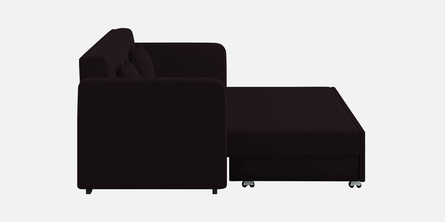 Calra Fabric 3 Seater Pull Out Sofa Cum Bed In Cara Brown Colour With Storage - Febonic Living