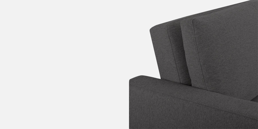 Lobby Fabric 2 Seater Pull Out Sofa Cum Bed In Charcoal Grey Colour - Febonic Living