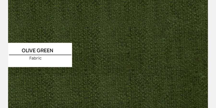 Calra Fabric 3 Seater Pull Out Sofa Cum Bed In Olive Green Colour With Storage - Febonic Living