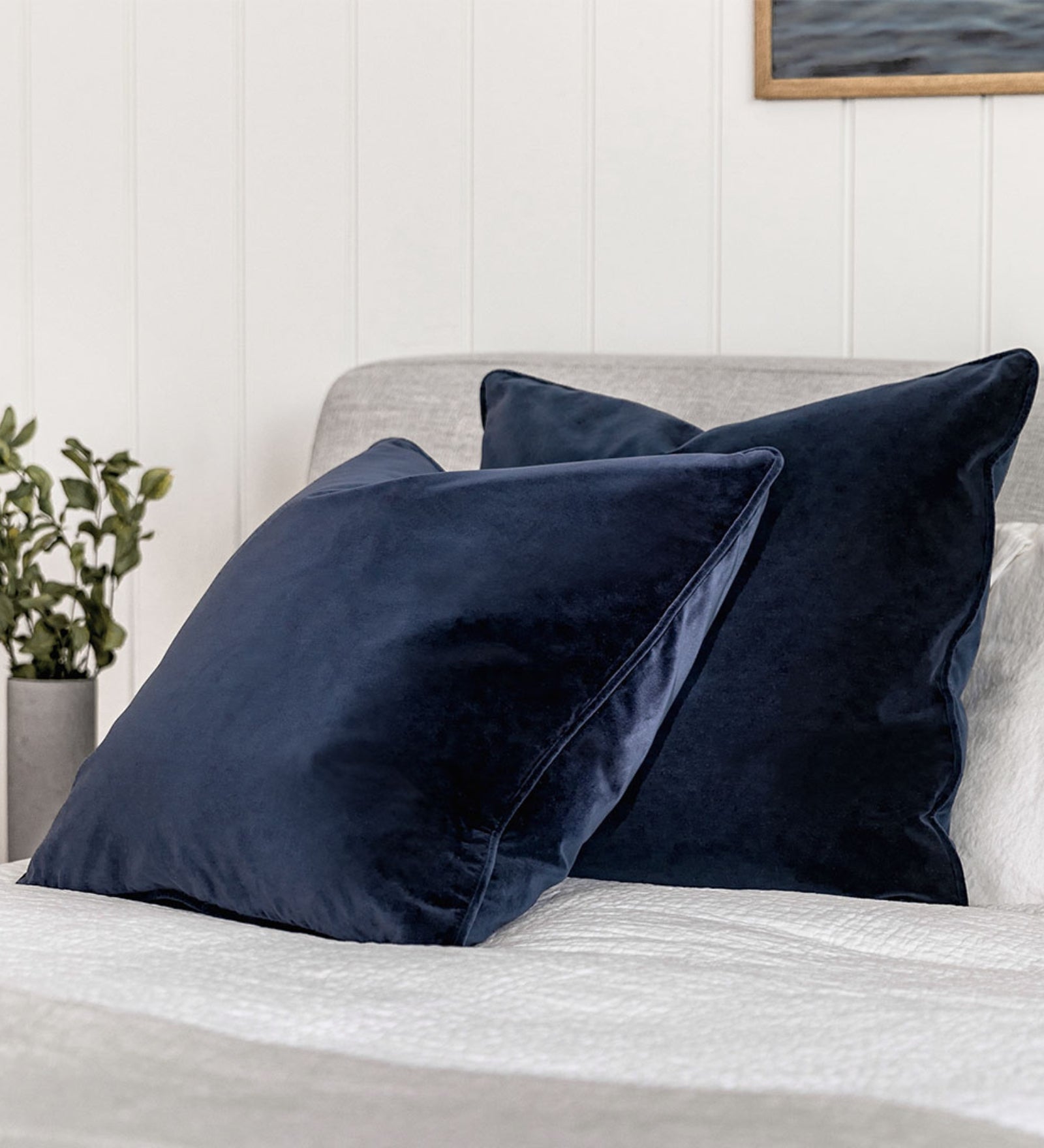 Lucca Velvet 20x20 inches Cushion + Covers (Pack of 2) In Royal Blue Colour