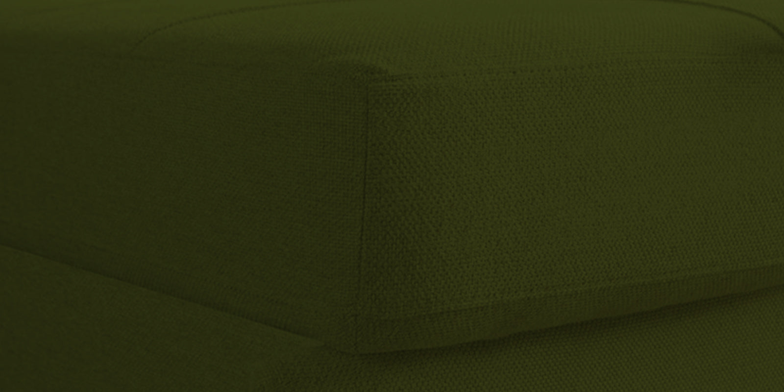 Fornia Fabric 2 Seater Pull Out Sofa Cum Bed In Olive Green Colour