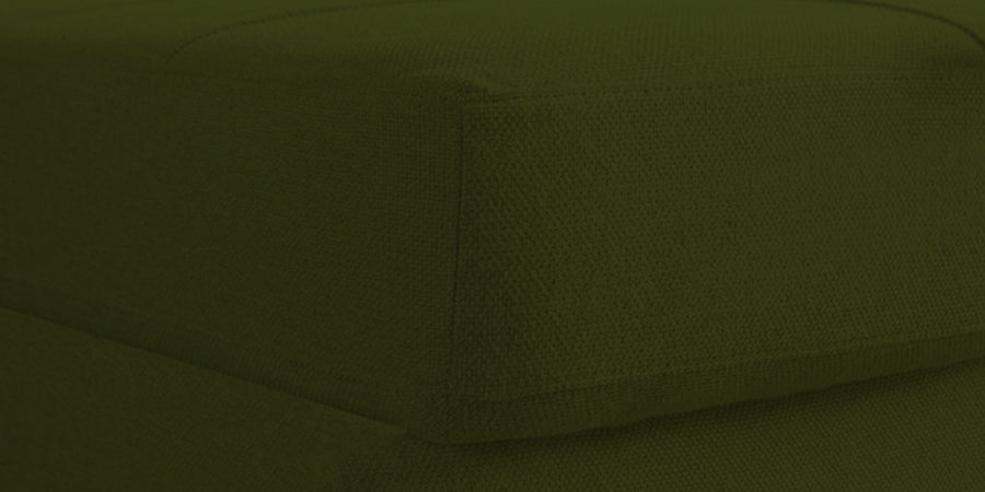 Fornia Fabric 2 Seater Pull Out Sofa Cum Bed In Olive Green Colour - Febonic Living