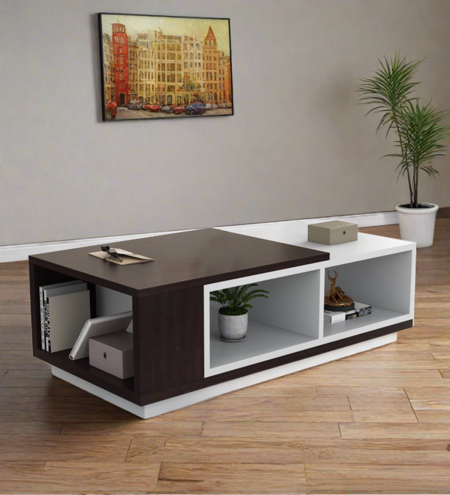 Bumi Coffee Table In Dark Walnut & Frosty White Finish - Febonic Living