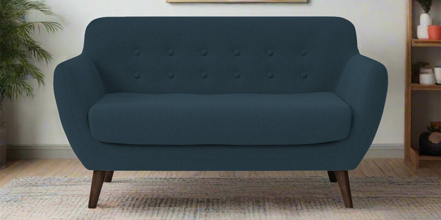Goofy Fabric 2 Seater Sofa In Cool Blue Colour - Febonic Living