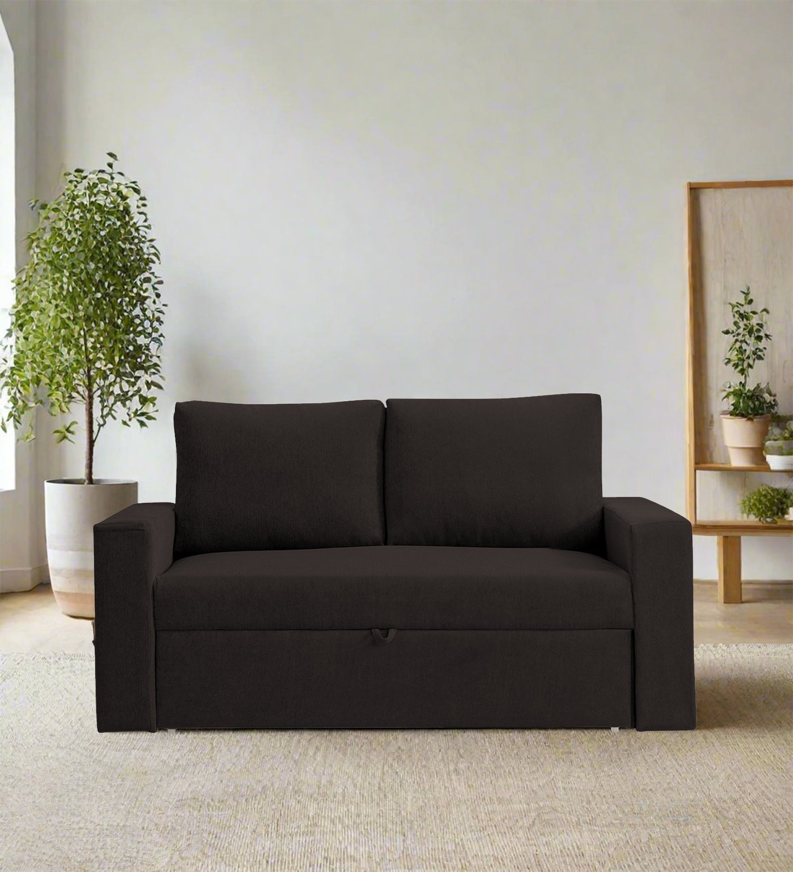 Kara Fabric 2 Seater Pull Out Sofa Cum Bed in Cara Brown Colour