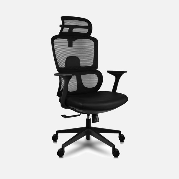 Loyar Mesh Ergonomic Office Chair - Baba Black