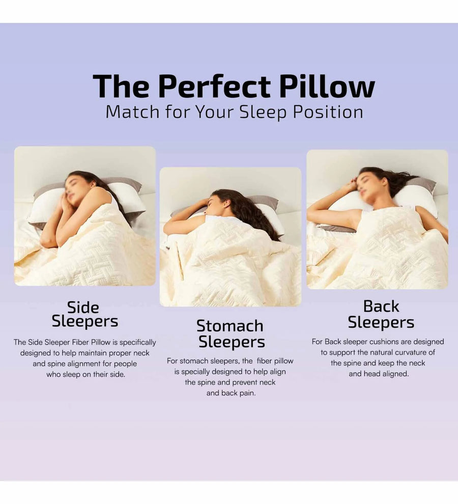 Hebo Fiber 27X16In Sofa Pillows In Pack Of 2 - Febonic Living