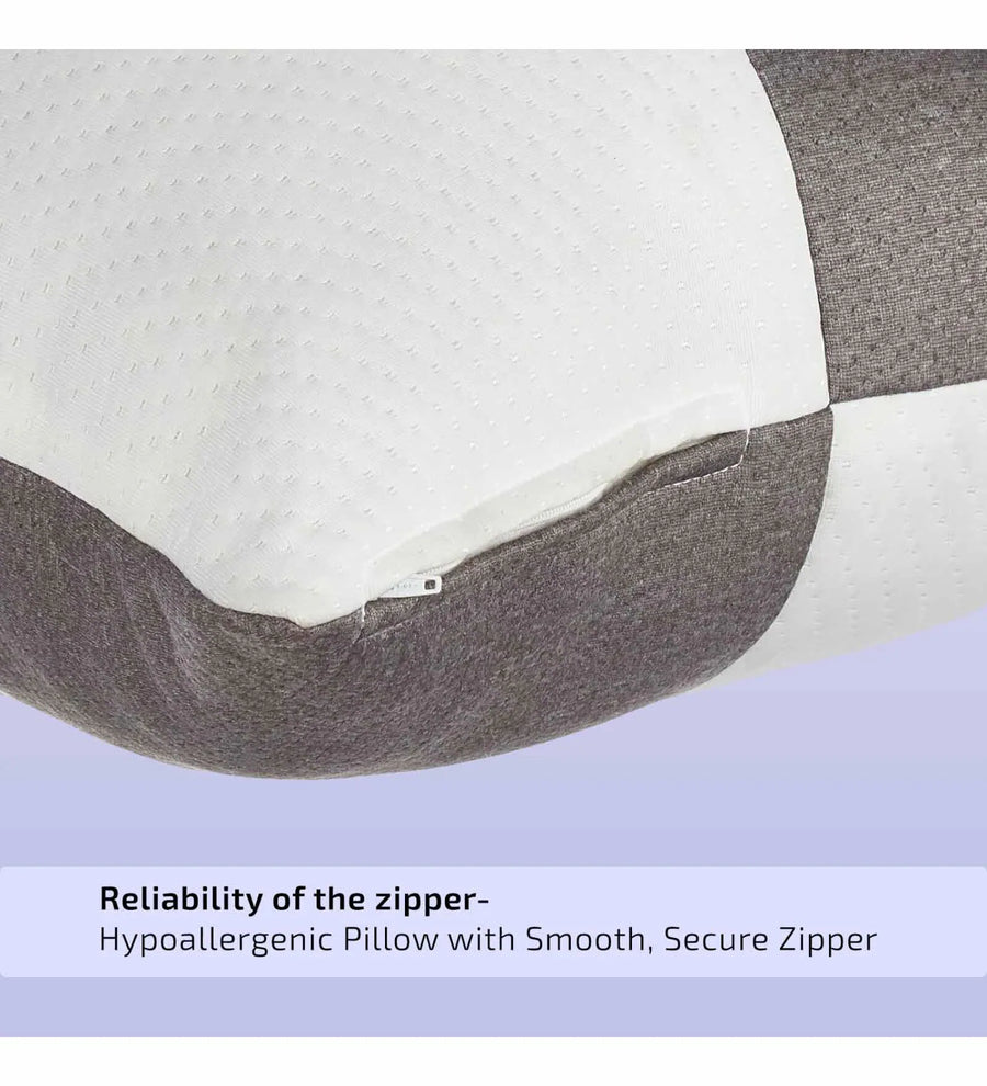 Hebo Fiber 27X16In Sofa Pillows In Pack Of 2 - Febonic Living