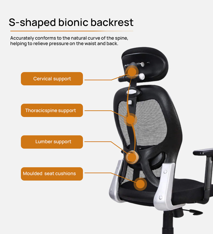 Foxy Breathable Mesh Ergonomic Chair With Adjustable Lumbar Support In Coco Black Colour - Febonic Living