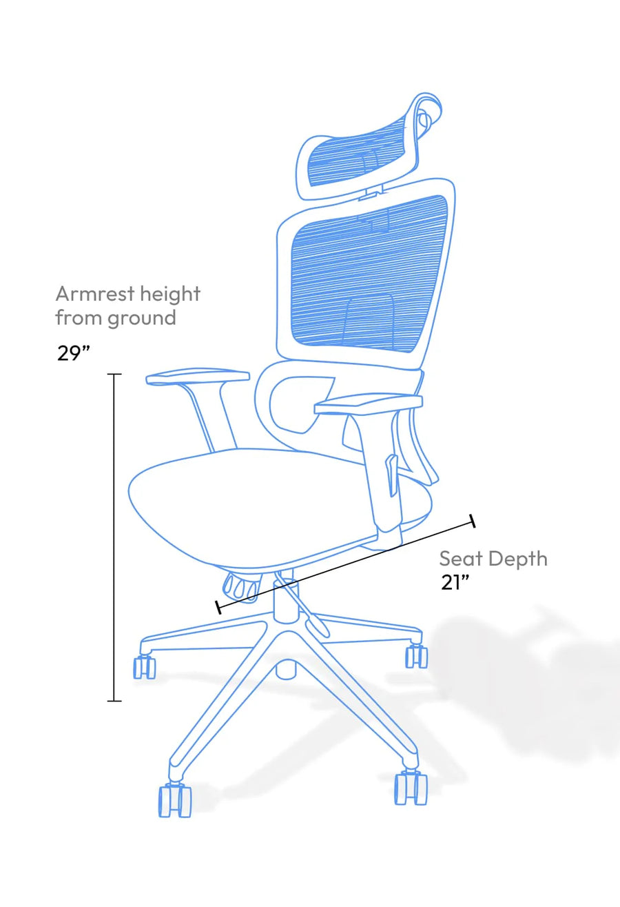 Ero Mesh Ergonomic Office Chair In Baba Black - Febonic Living