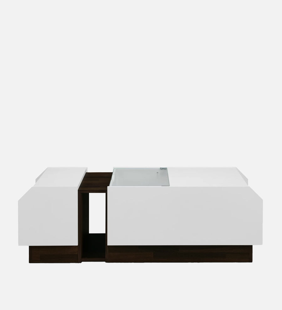 Pengu Coffee Table In Dark Wallnut & Frosty White Finish - Febonic Living