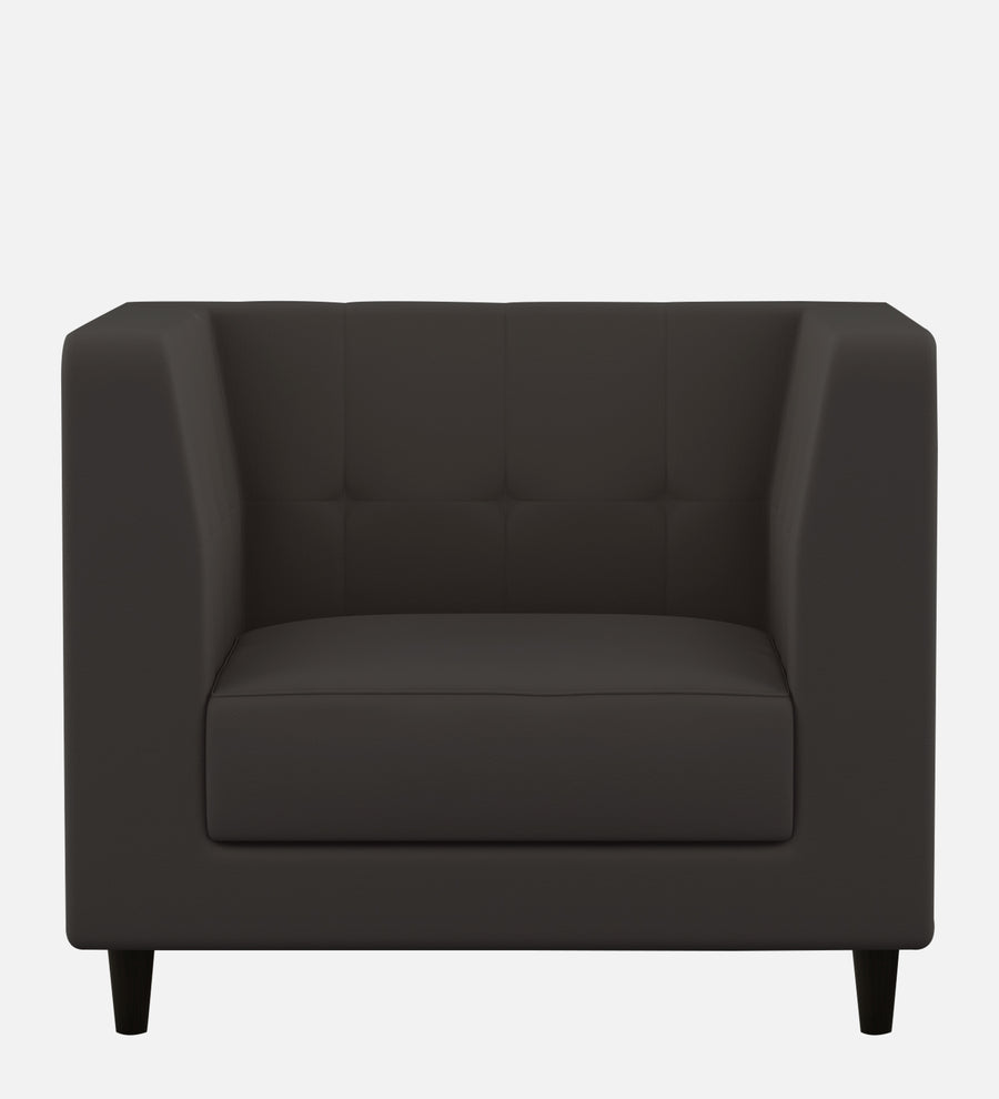 Braulia Velvet 1 Seater Sofa In Davy Grey Colour - Febonic Living