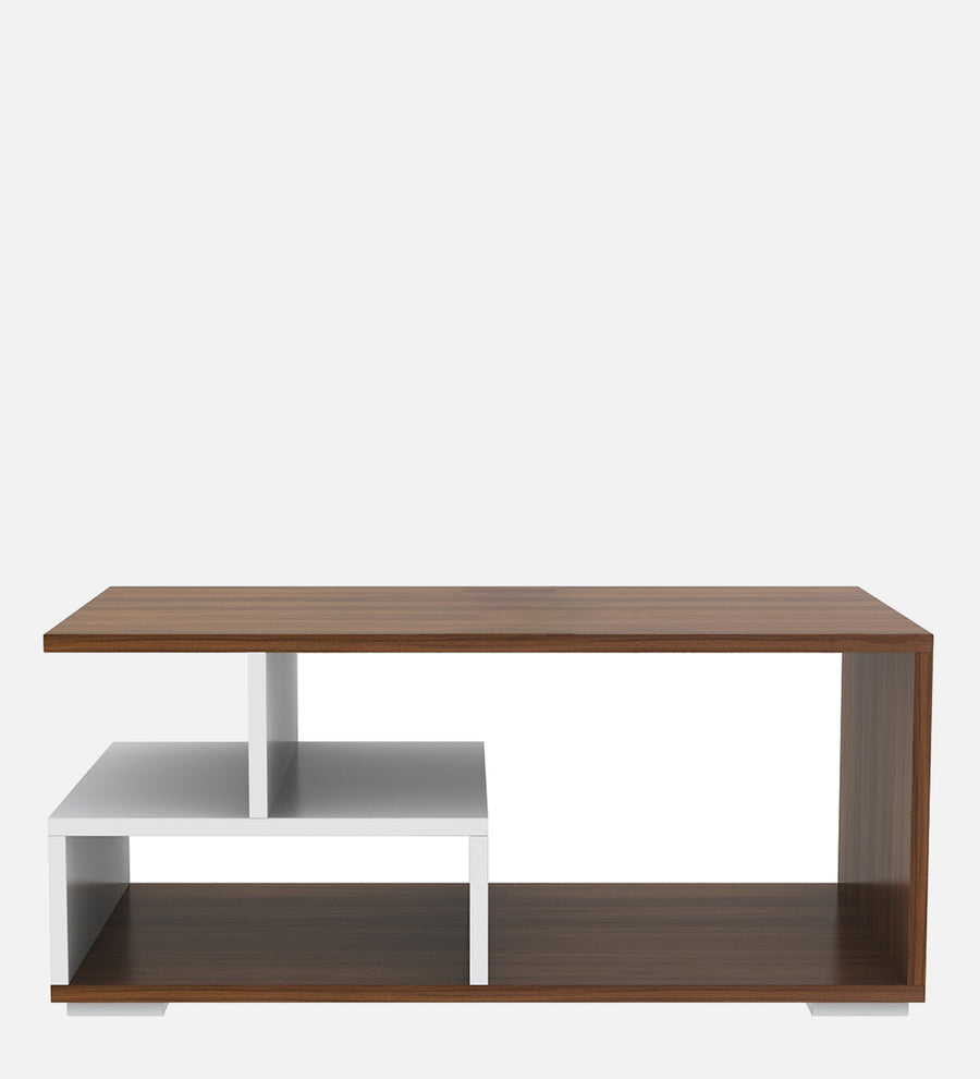 Clove Coffee Table In Oral Walnut & Frosty White Finish - Febonic Living