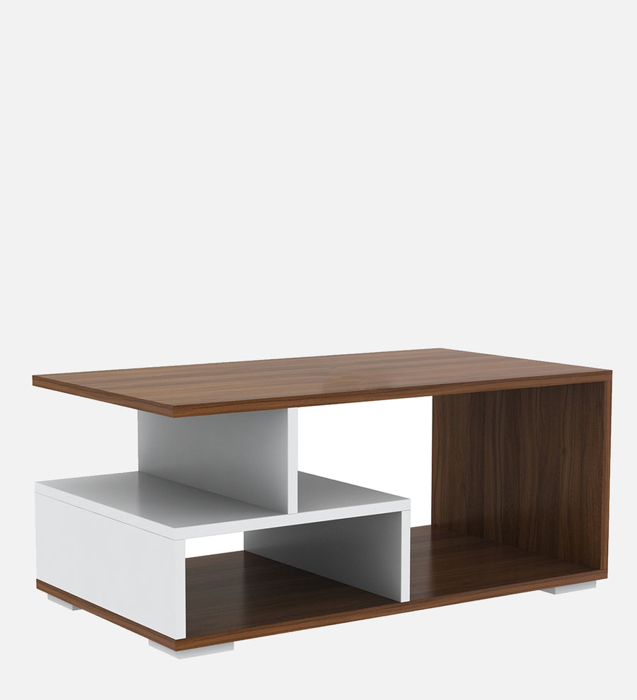 Clove Coffee Table In Oral Walnut & Frosty White Finish - Febonic Living