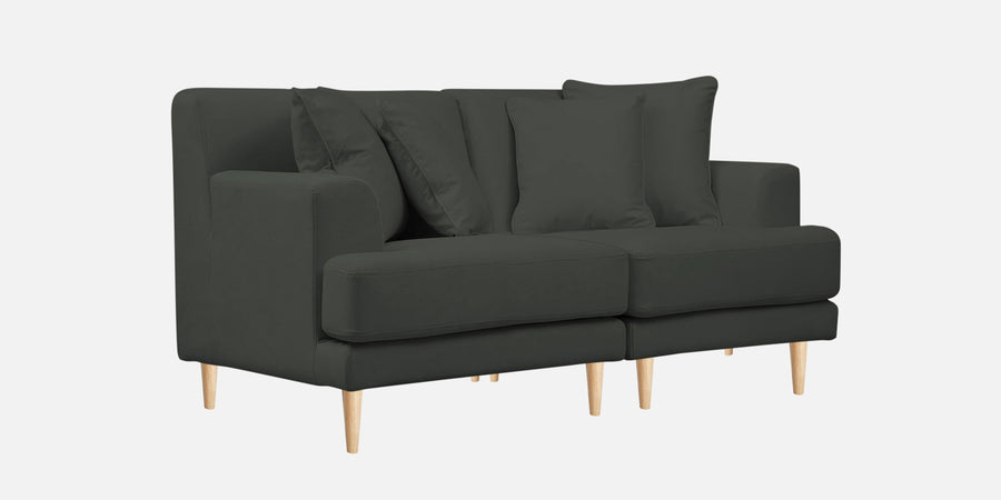 Woody Fabric 2 Seater Sofa In I Land Green Colour - Febonic Living