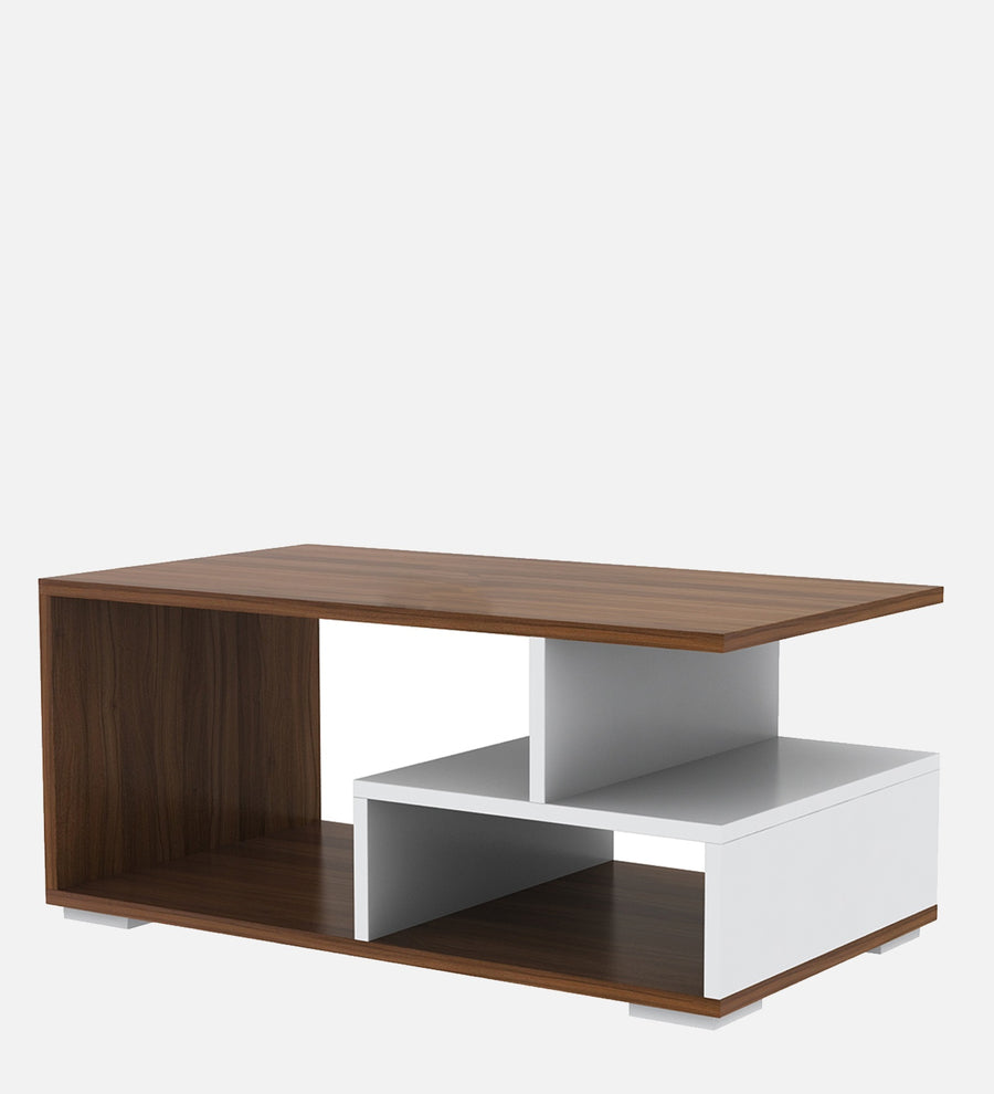 Clove Coffee Table In Oral Walnut & Frosty White Finish - Febonic Living