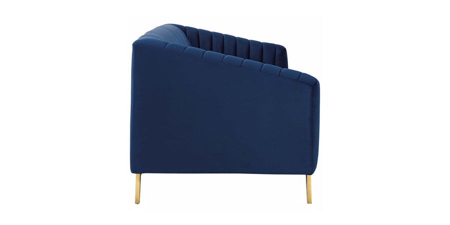 Grammy Velvet 3 Seater Sofa In Imperial Blue Colour - Febonic Living