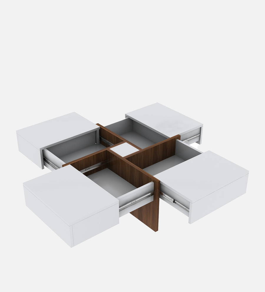 Sonic Coffee Table In Oral Walnut & Frosty White Finish - Febonic Living