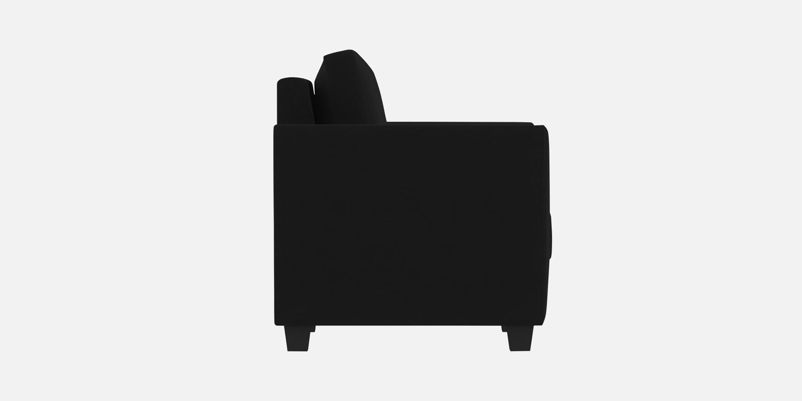 Daku Fabric 2 Seater Sofa in Zed Black Colour