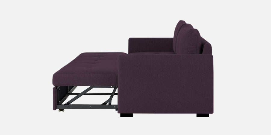 Sigma Fabric 3 Seater Pull Out Sofa Cum Bed In Greek Purple Colour - Febonic Living