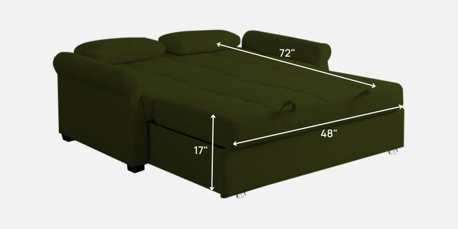 Fornia Fabric 2 Seater Pull Out Sofa Cum Bed In Olive Green Colour - Febonic Living