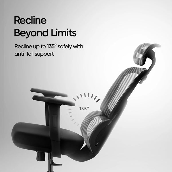 ERO Mesh Ergonomic Office Chair - Baba Black