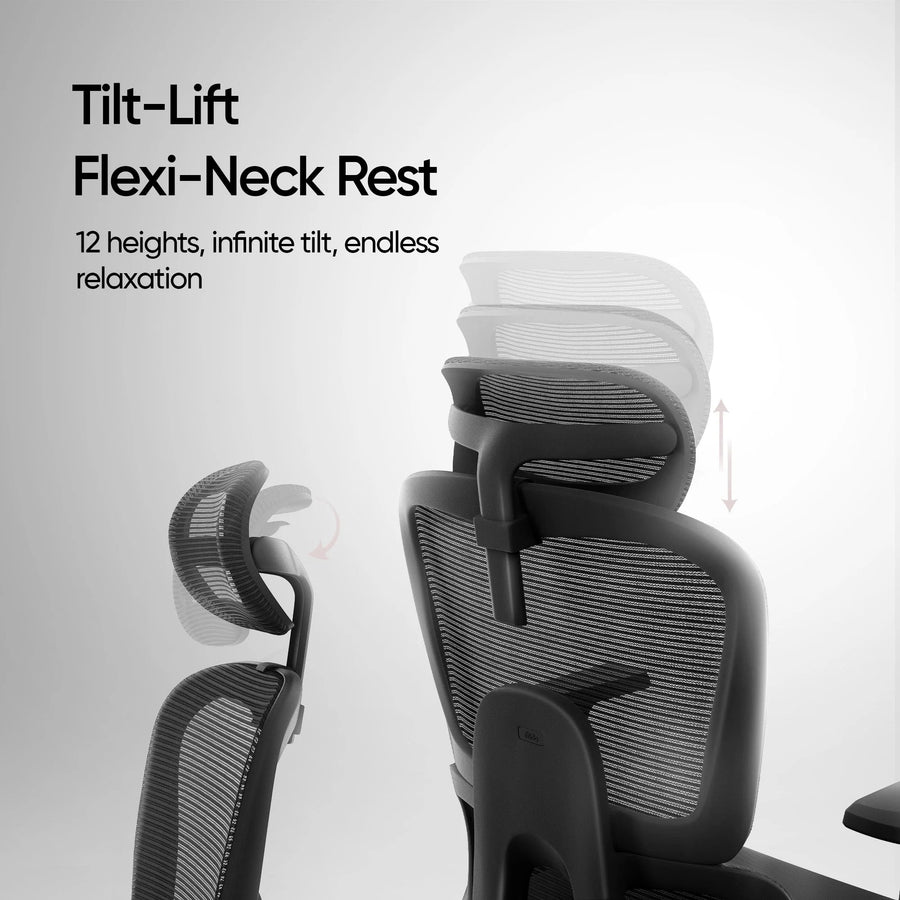 Ero Mesh Ergonomic Office Chair In Baba Black - Febonic Living