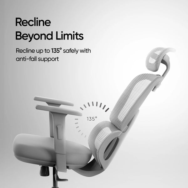 ERO Mesh Ergonomic Office Chair - Latty Grey