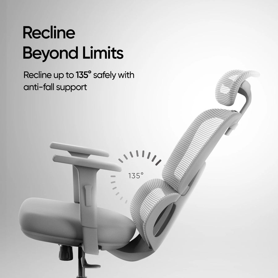 ERO Mesh Ergonomic Office Chair - Latty Grey by Febonic Living