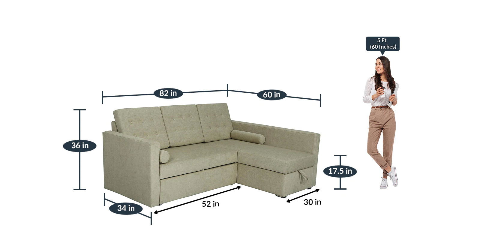 Ace Fabric 3 Seater Pull Out Sofa Cum Bed In Ivory Cream Colour With Storage with dimention - Febonic Living