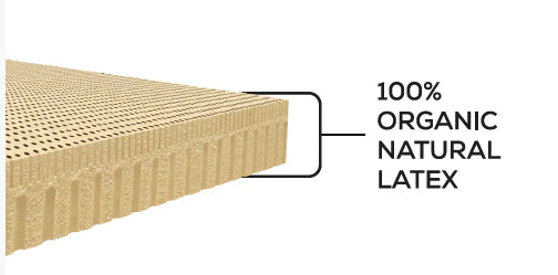 Aurora (100% Organic Natural Latex) Single Size Mattress + Life Companion Latex Pillows