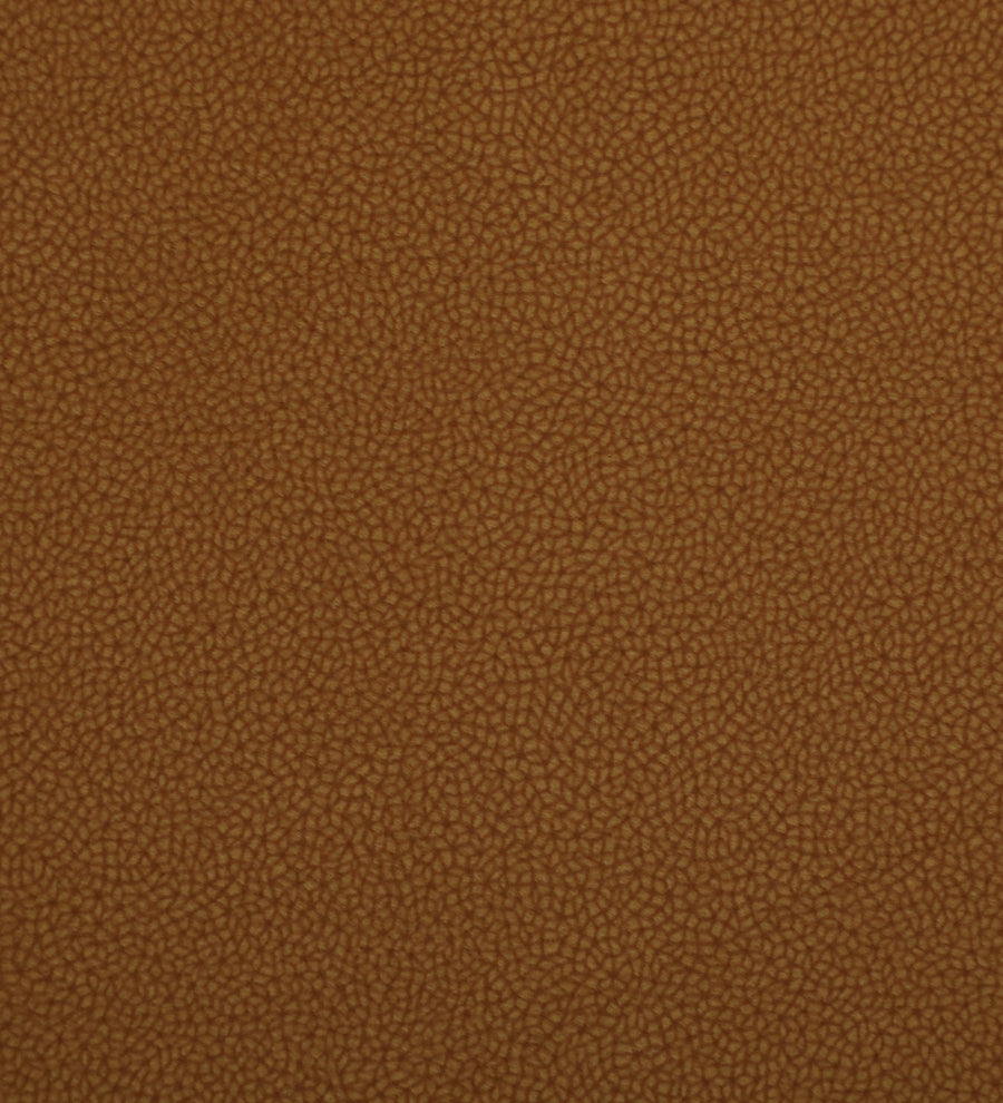 Tanu Sheesham Wood Arm Chair In Provincial Teak Finish - Febonic Living