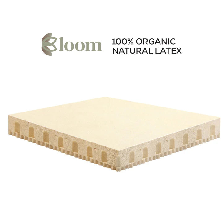 Bloom (100% Organic Natural Latex) King Size Mattress + Free Micro Fiber Pillows