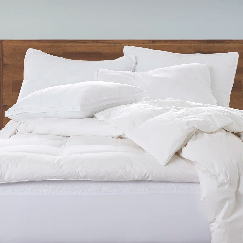 Ranveer Shredded (20x36) Memory Foam Pillows (Pack of 4) - Febonic Living