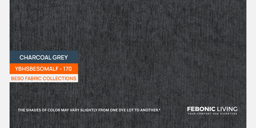 Castro Fabric 2 Seater Sofa In Charcoal Grey Colour - Febonic Living