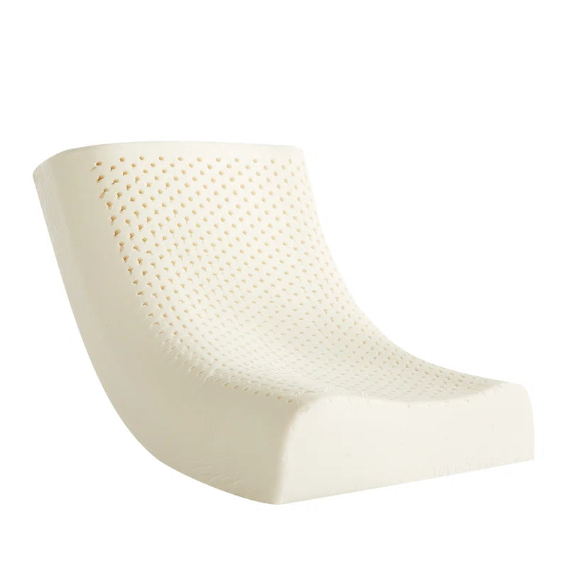Hana (24x14) Latex Pillows In (Pack of 2) - Febonic Living