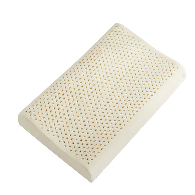 Hana 24X14 Latex Pillows In Pack Of 2 - Febonic Living