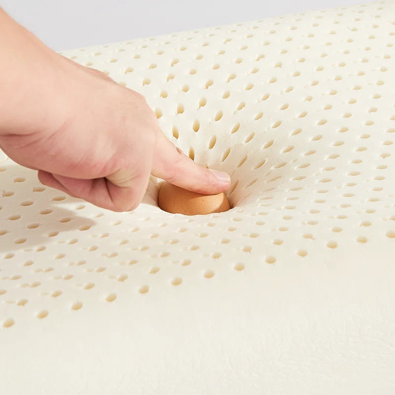 Hana 24X14 Latex Pillows In Pack Of 2 - Febonic Living