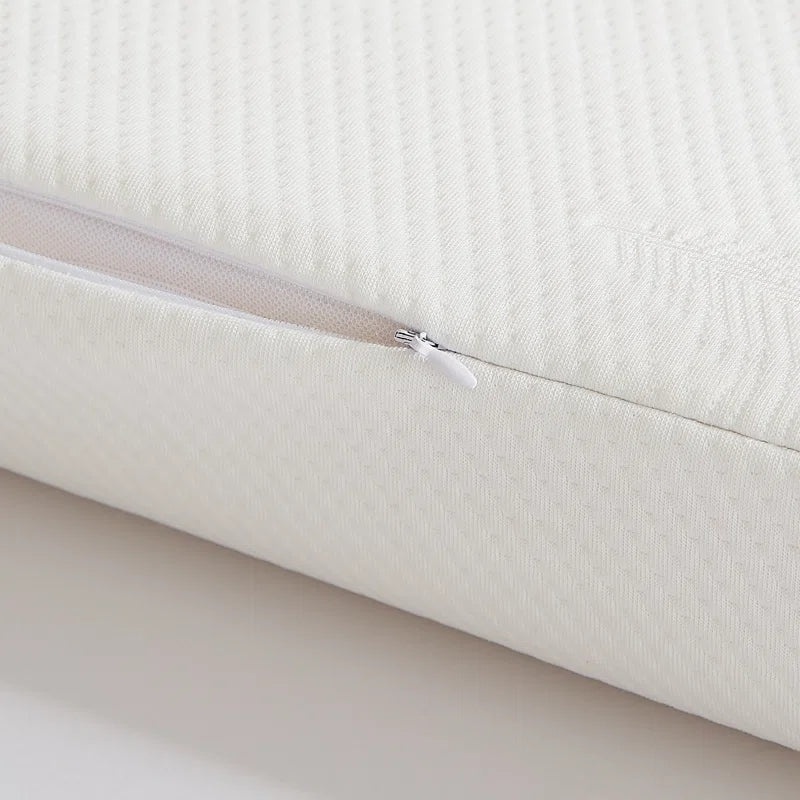 Hana 24X14 Latex Pillows In Pack Of 2 - Febonic Living