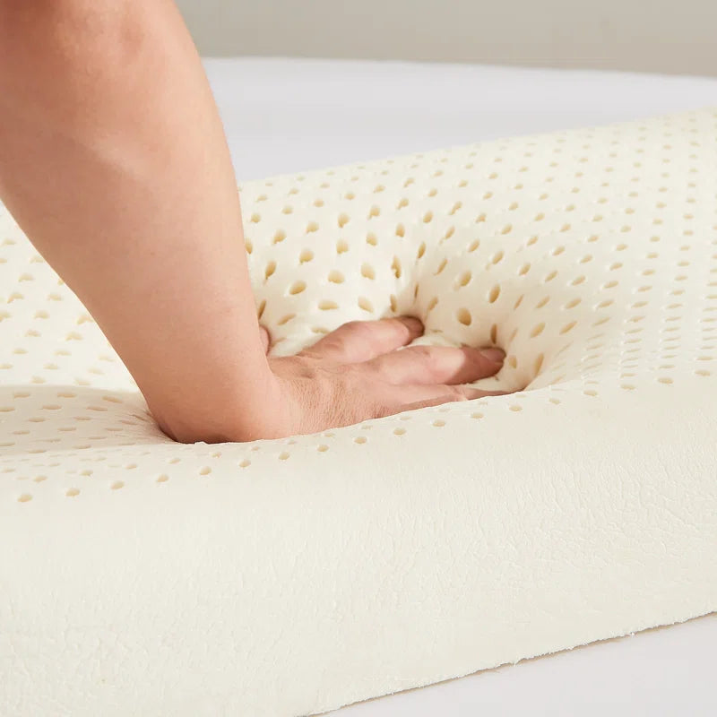 Hana 24X14 Latex Pillows In Pack Of 2 - Febonic Living